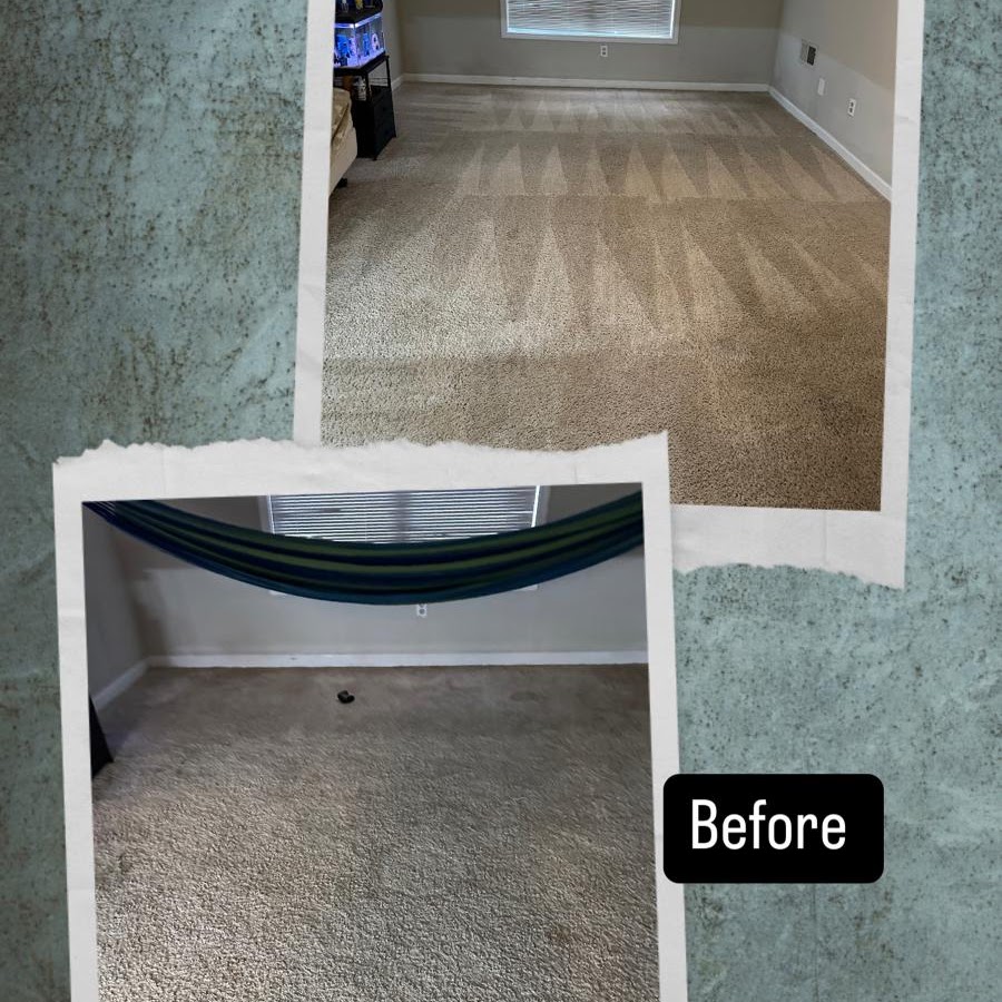 Carpet Cleaning